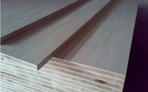 皇朝國際教你避坑裝新家 連載中